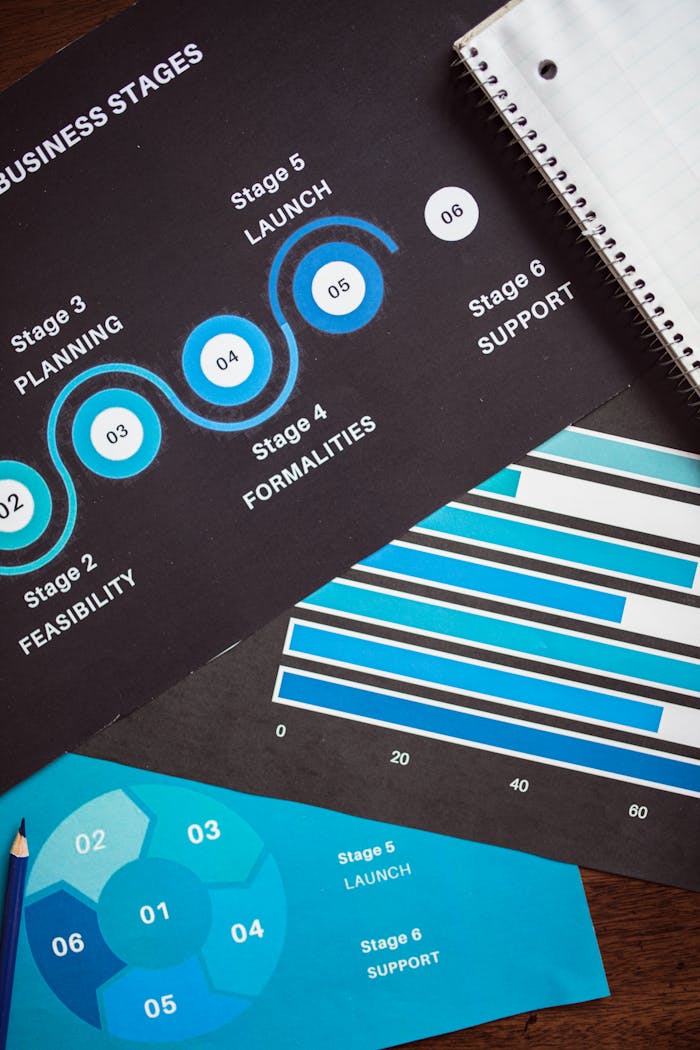 services-04 Detailed charts outlining key business stages for strategic planning.